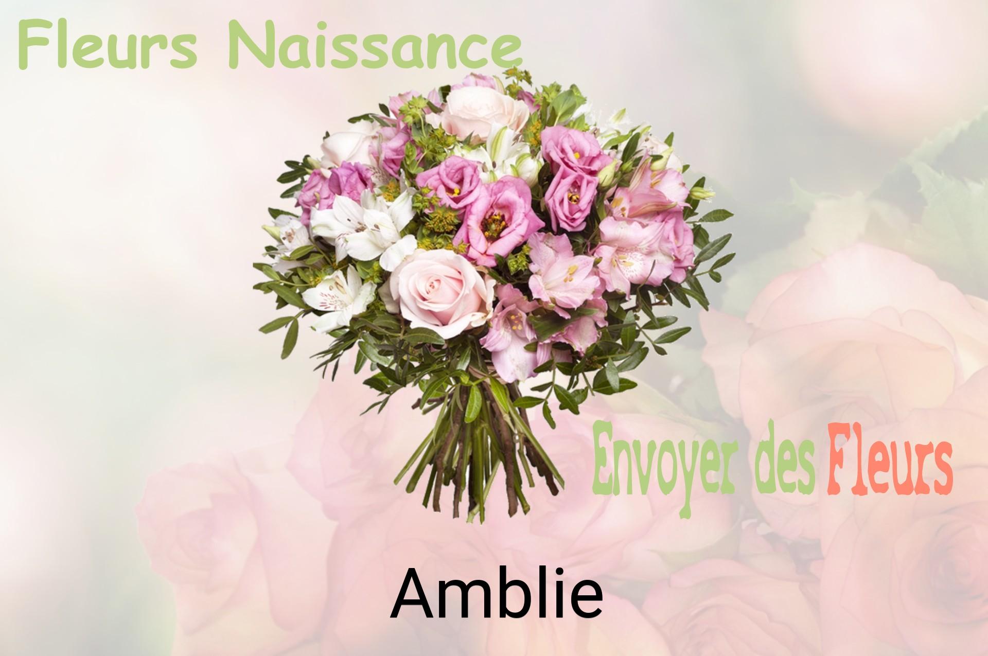 Bouquet de fleurs de naissance livré à Amblie